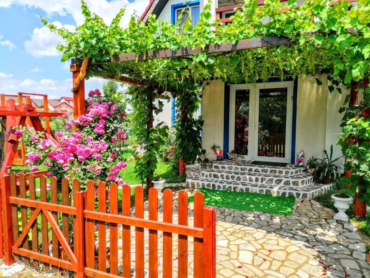 Teo Guest Rooms Băile Felix Eksteriør bilde